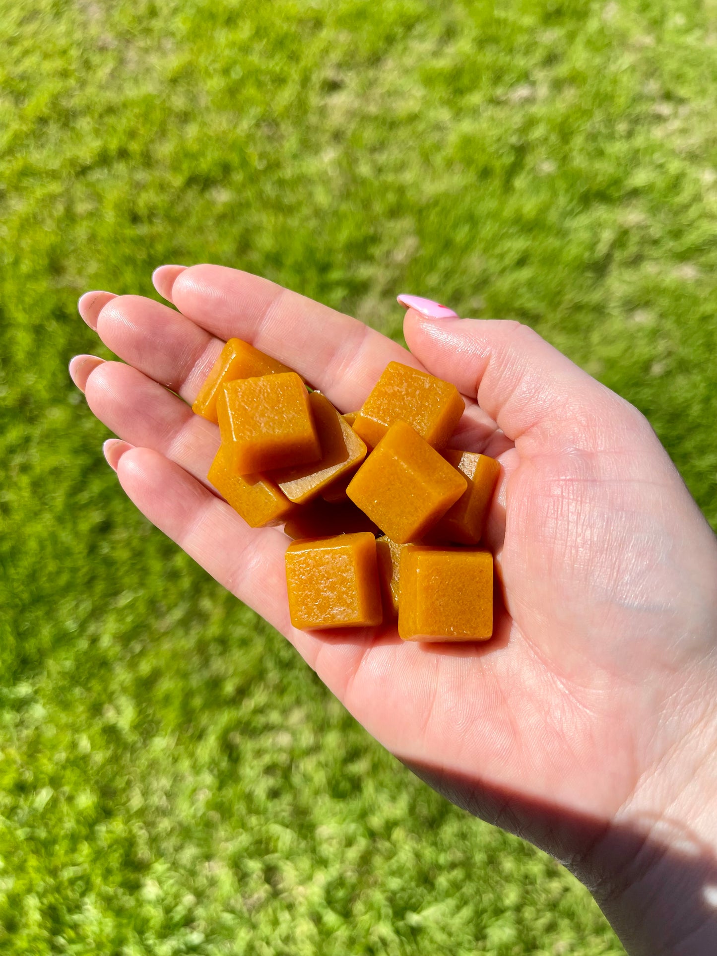 Turmeric Ginger Gummies – Jenna's Homemade